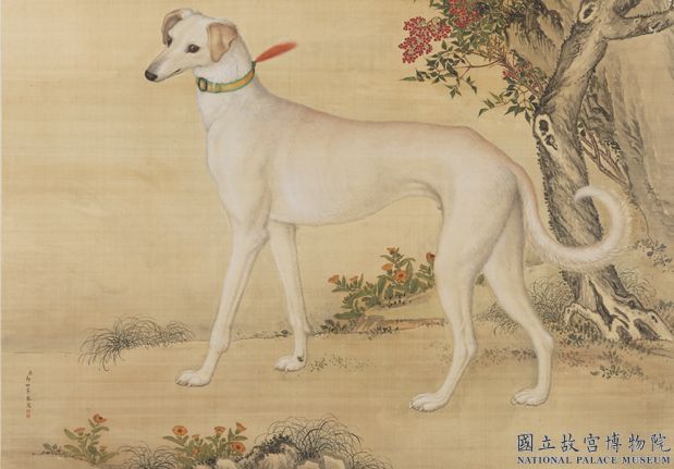 清郎世寧畫十駿犬霜花鷂　軸